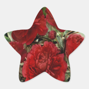 Red Carnation Flowers Stickers