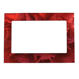 Red Carnation Picture Frame