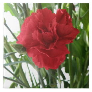 Red Carnation Tile