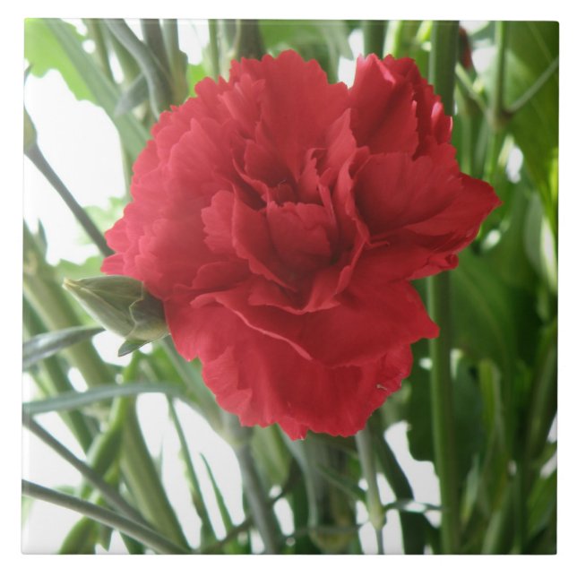 Red Carnation Tile (Front)