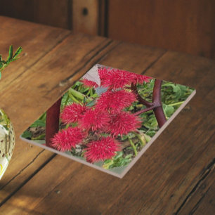 Red Castor Bean Plant Seed Pods Tile