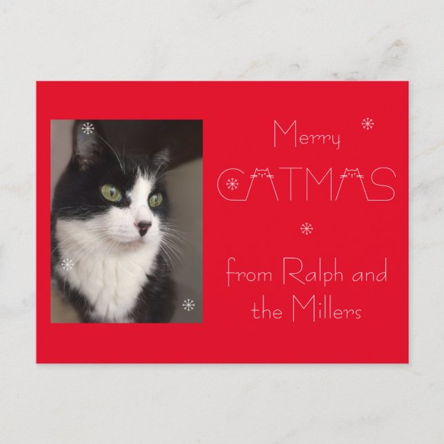 Red Cat Pet Photo Merry Catmas  Holiday Postcard (Front)
