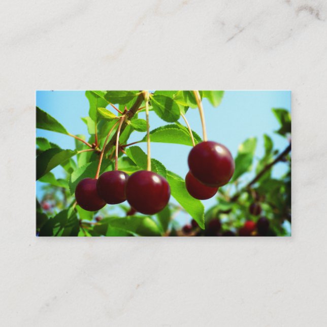 Red cherries - add your own touch business card (Front)