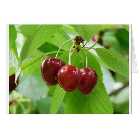 red cherries card