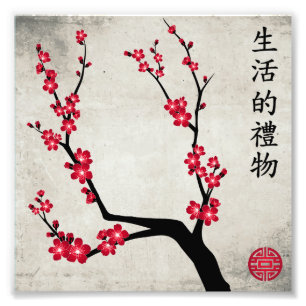 Red cherry blossom three art "Gift of life" Photo Print