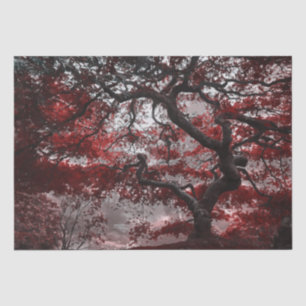 Red Cherry Blossom Tree  Tissue Paper
