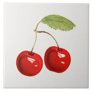 Red Cherry Illustration Tile