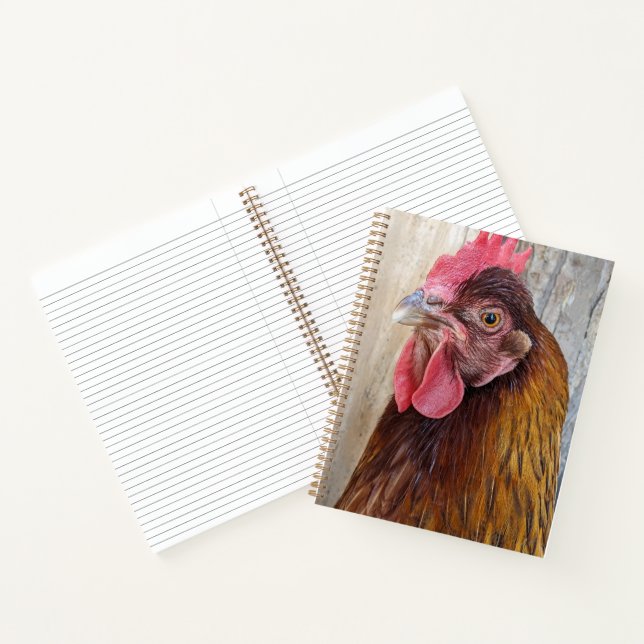 Red Chicken Hen Photo Notebook (Inside)