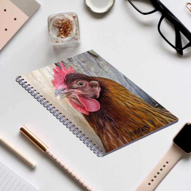 Red Chicken Hen Photo Notebook (In Situ)