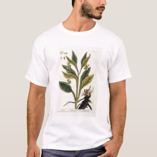 Red Chilli (colour engraving) T-Shirt