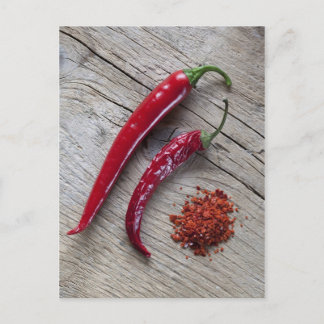 Red Chilli Pepper Postcard