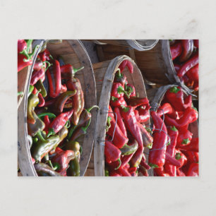 Red Chilli Postcard