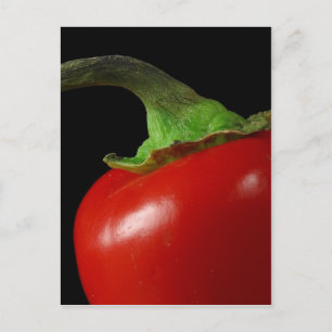 Red chilli postcard