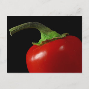 Red chilli postcard