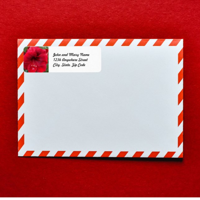 Red Christmas Amaryllis Floral Return Address (In Situ Envelope)