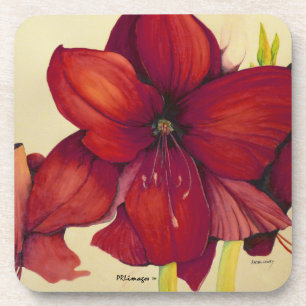 Red Christmas Amaryllis Plastic Coaster Set