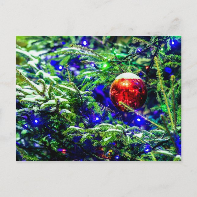Red Christmas Ball, Green Spruce Tree Postcard (Front)