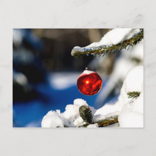 Red Christmas Ball, Sunny Day Postcard