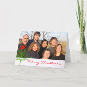 Red Christmas Bird Green Tree Your Photo Holiday Card