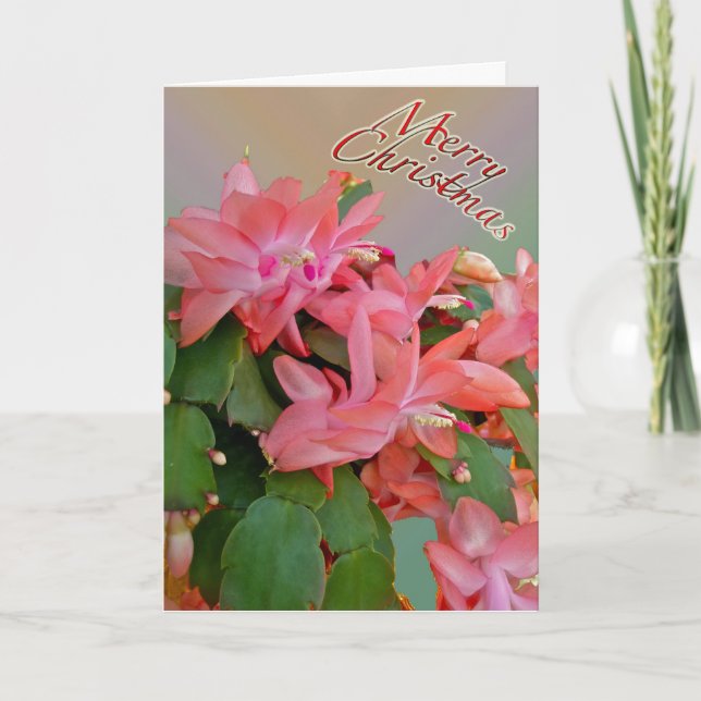 Red Christmas Cactus Christmas Card (Front)