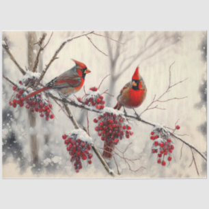 Red Christmas Cardinals  Tissue Paper