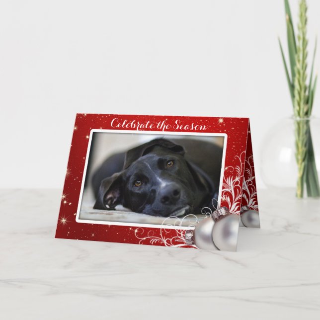 Red Christmas Family Pet Photo Greeting Holiday Card (Front)