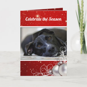 Red Christmas Family Pet Photo Greeting Holiday Card