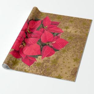 Red Christmas flower, gold stars on abstract paper