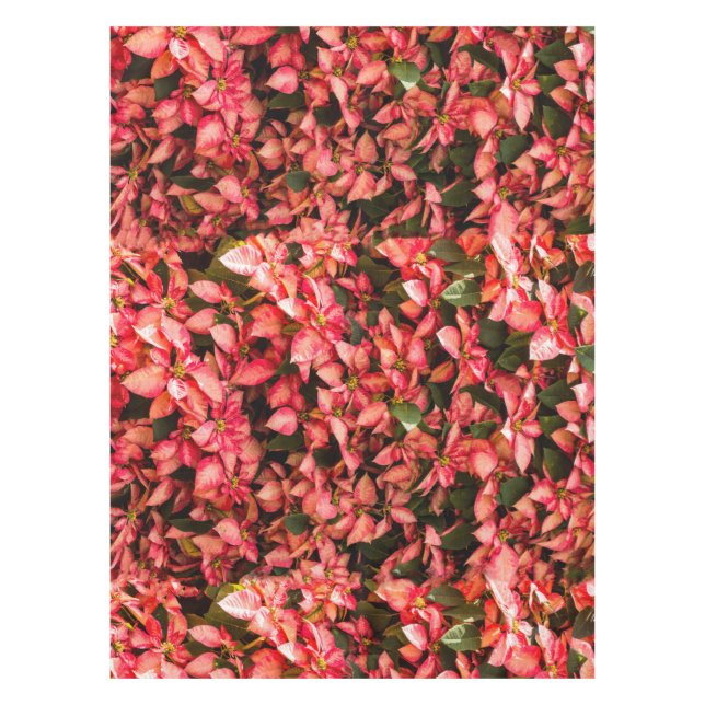 Red Christmas flower Poinsettia Tablecloth (Front)