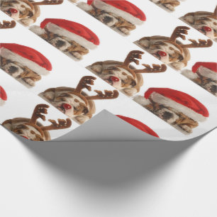 Red Christmas Holiday Dogs Santa Reindeer Costume Wrapping Paper