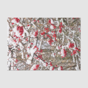 Red Christmas Holly Berries Snow WInter Decoupage  Tissue Paper