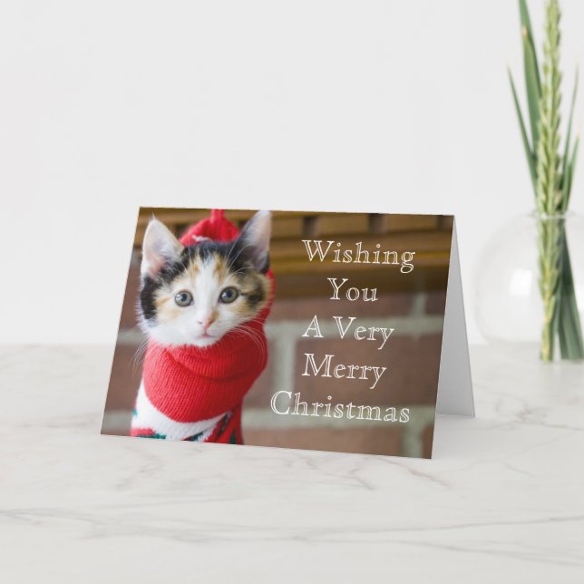 Red Christmas Kitten Holiday Card (Front)