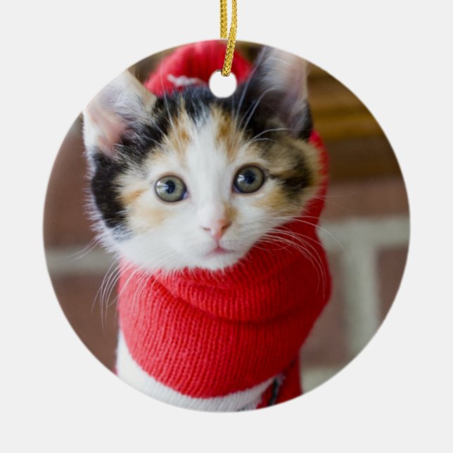Red Christmas Kitten Metal Tree Decoration (Front)