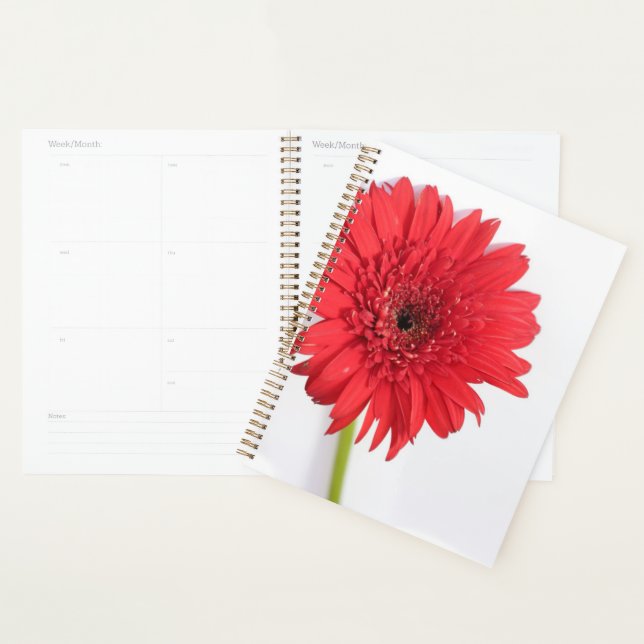 Red Chrysanthemum Petals Flower Floral Planner (Display)