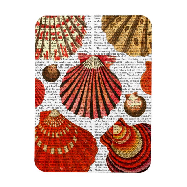 Red Clam Shells Magnet (Vertical)