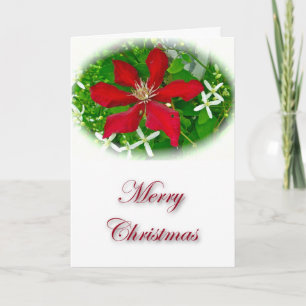 Red Clematis Merry Christmas Holiday Card