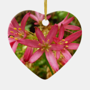 Red Clintonia Flowers at Redwoods Ceramic Tree Decoration