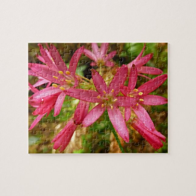 Red Clintonia Flowers at Redwoods Jigsaw Puzzle (Horizontal)