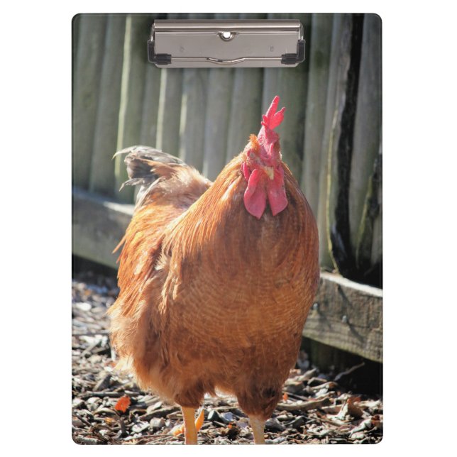 Red Clipboard (Front)