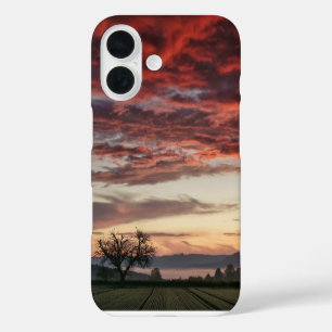 Red Clouds Sunset Tree Green fields iPhone 16 Case