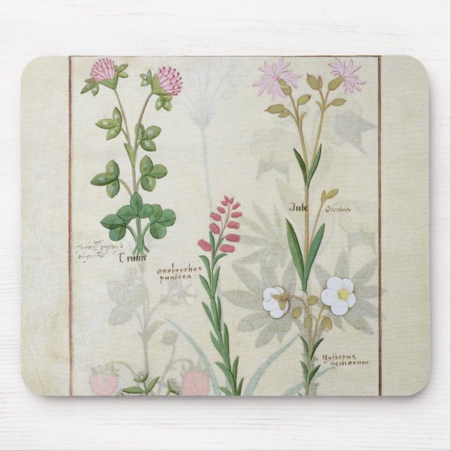 Red clover & Aube Bellidis Onobrychis & Hyssopus Mouse Mat (Front)