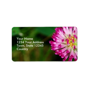 Red Clover Label
