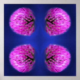 Red Clover Wildflower Abstract Poster