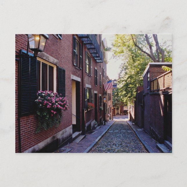 Red Cobblestone Acorn Street flowers Postcard (Front)