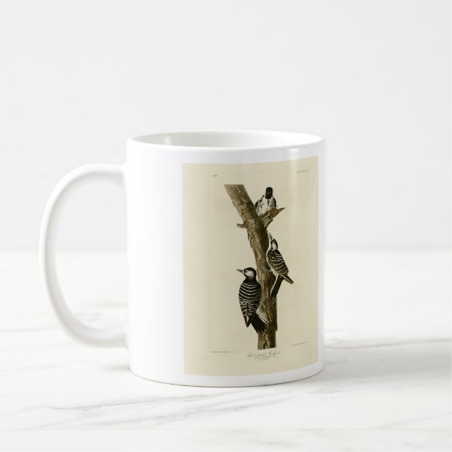 Red-Cockaded Woodpecker Audubon's Birds of America Coffee Mug (Left)