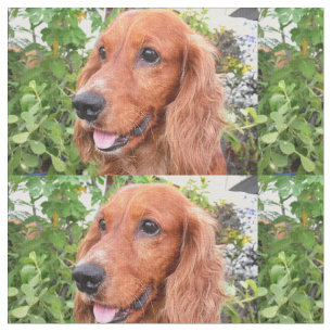 red cocker-spaniel-.png fabric