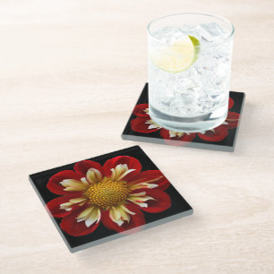 Red Collarette Dahlia on Black Floral Glass Coaster