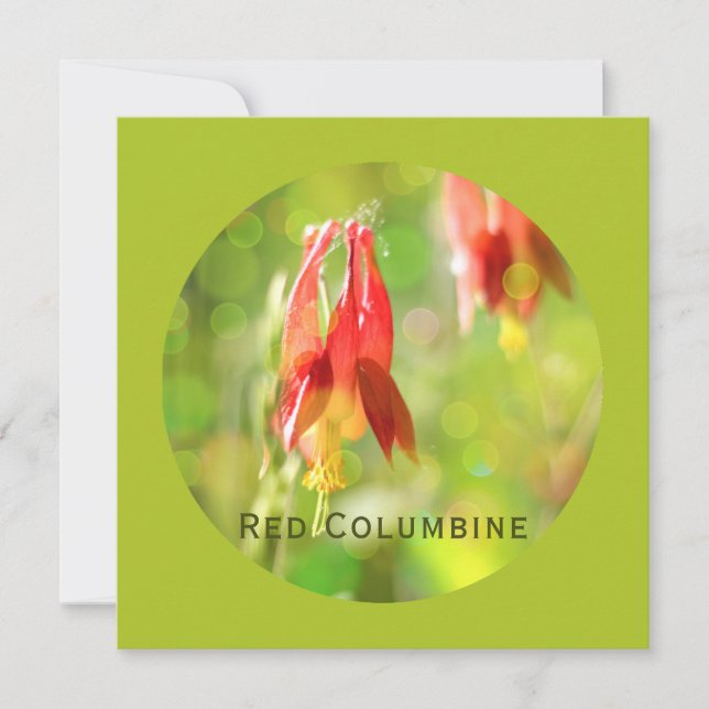 Red Columbine Flower on Atlantis Green Flat Card (Front)