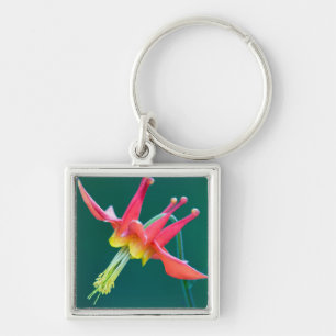 Red Columbine Key Ring