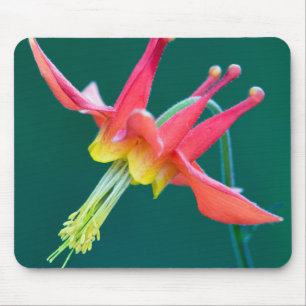 Red Columbine Mouse Mat